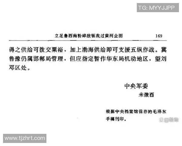 南京羽毛球队防守策略分析与比赛表现的得失评估