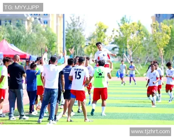 在绿茵场上寻找足球的乐趣与激情之旅